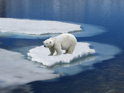 Aktuelle Daten zur Arktis: Eisfläche wird größer, Eisdicke unverändert – nix mit eisfrei …