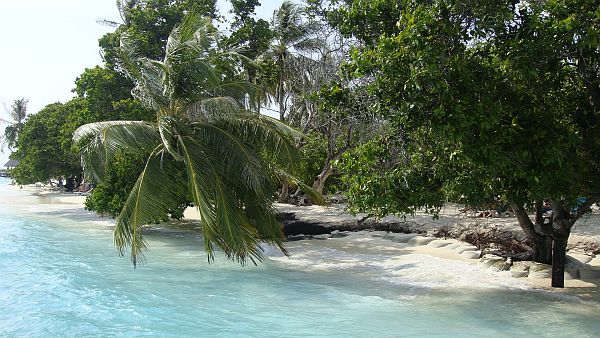 Die pazifischen Inselstaaten wollen nicht länger die Deppen für die Klimaalarmisten spielen