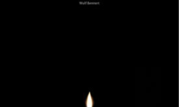 „Blackout – kleines Handbuch für den Umgang mit einer wachsenden Gefahr“ – eine Rezension