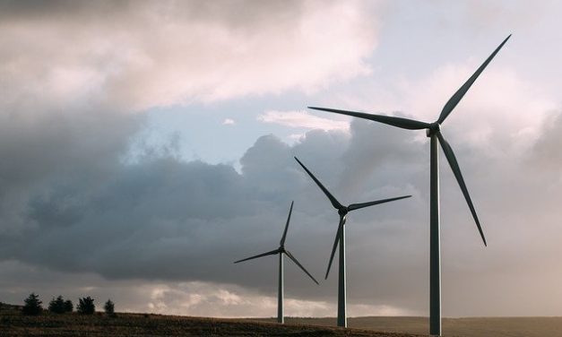 Windenergie in der Krise – Teil 2: Jetzt geht es dem Wald an den KragenVon